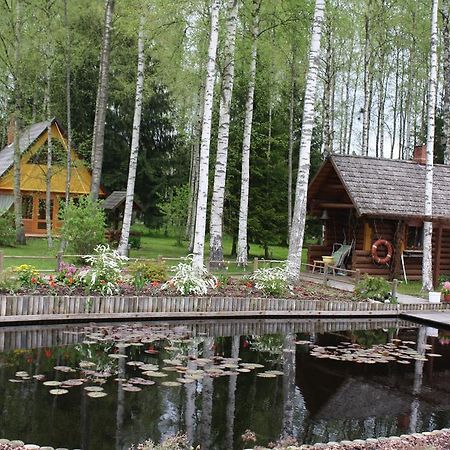 Holiday Home Berzlejas Upesgriva 外观 照片